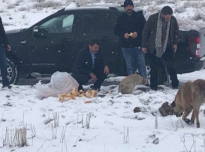 Başkan Dağ Sokak Hayvanlarını Unutmadı