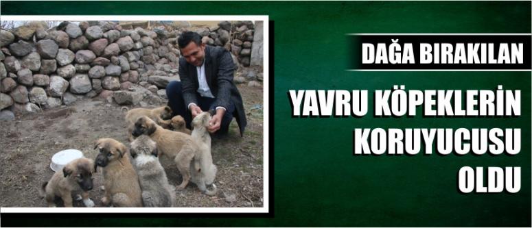 Dağa Bırakılan Yavru Köpeklerin Koruyucusu Oldu