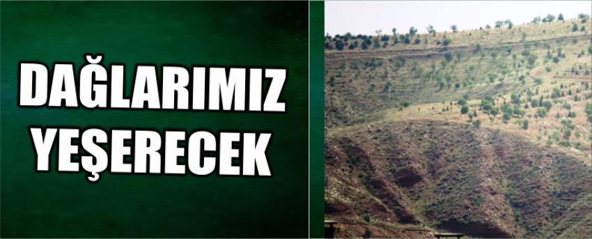 Dağlarımız Yeşerecek