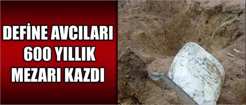 Define Avcıları 600 Yıllık Mezarı Kazdı