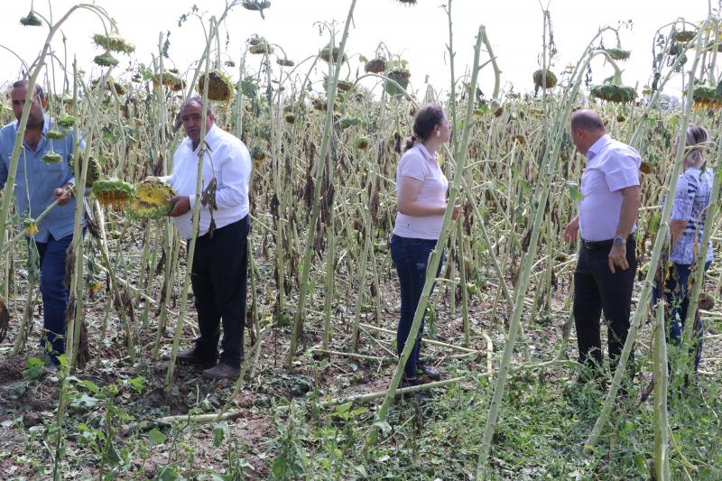 25 Bin Dekar’da 12,5 Milyon Zarar