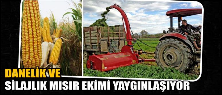  Danelik Ve Silajlık Mısır Ekimi Yaygınlaşıyor