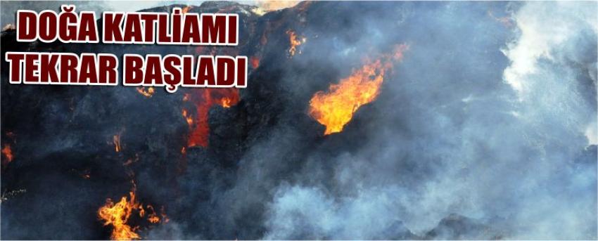  Doğa Katliamı Tekrar Başladı