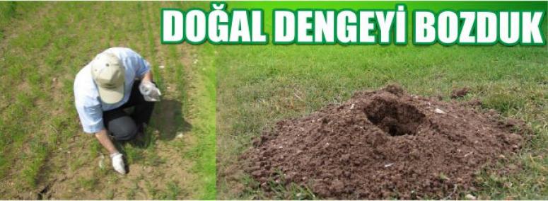Doğal Dengeyi Bozduk 