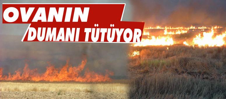 Ovanın Dumanı Tütüyor
