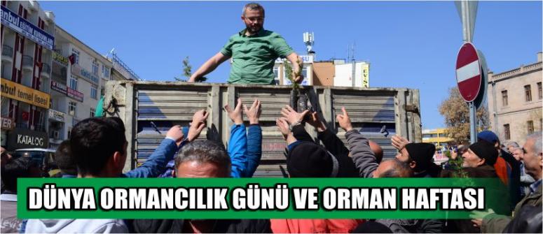Dünya Ormancılık Günü Ve Orman Haftası