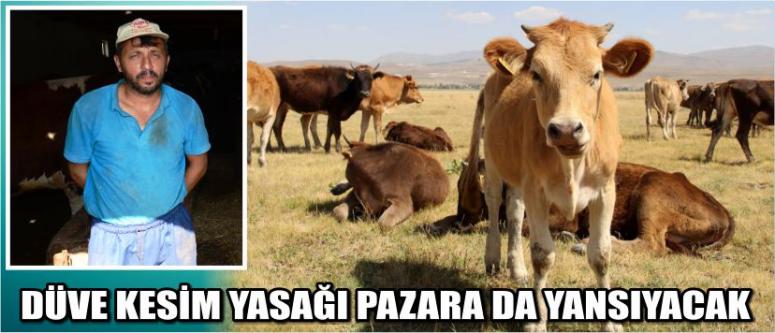  Düve Kesim Yasağı Pazara Da Yansıyacak