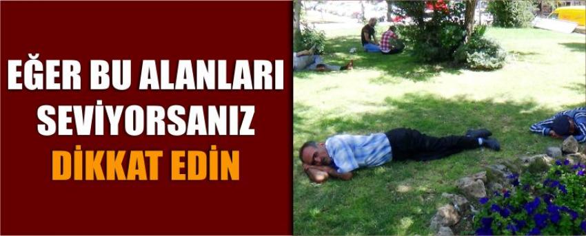 Eğer Bu Alanları Seviyorsanız Dikkat Edin