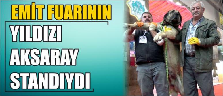 Emit Fuarının Yıldızı Aksaray Standıydı