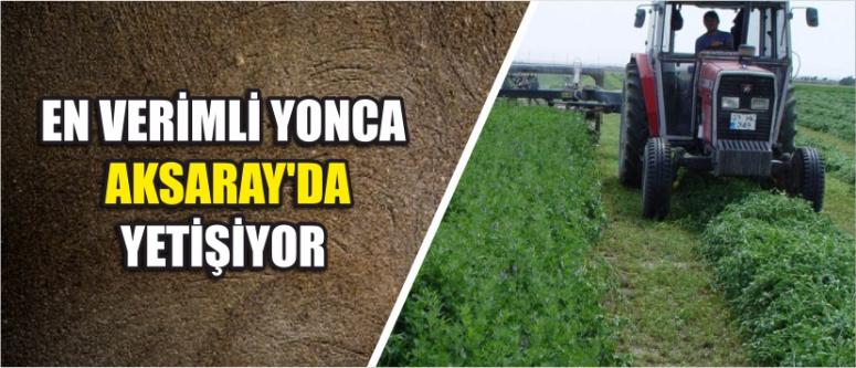 Yonca’da Yine Lider Aksaray