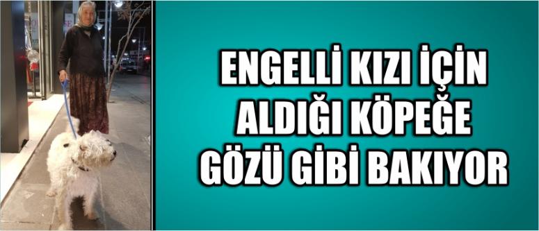Engelli Kızı İçin Aldığı Köpeğe Gözü Gibi Bakıyor