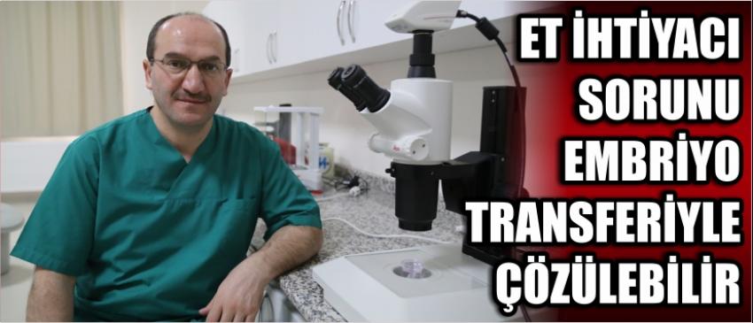 Et İhtiyacı Sorunu Embriyo Transferiyle Çözülebilir