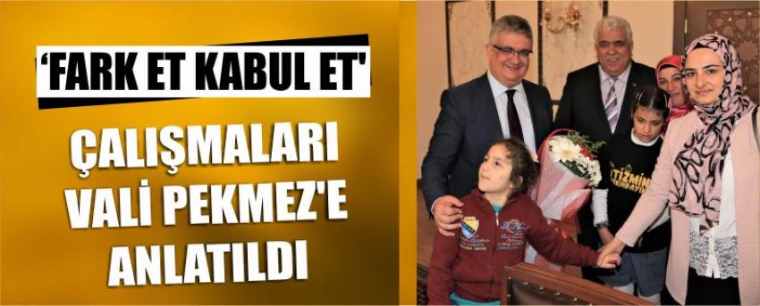 ‘Fark Et Kabul Et’ Çalışmaları Vali Pekmez’e Anlatıldı
