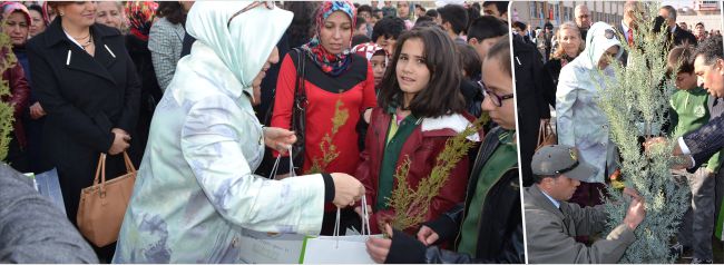 Fidanlara Şehitlerimizin Künyesi Asılacak
