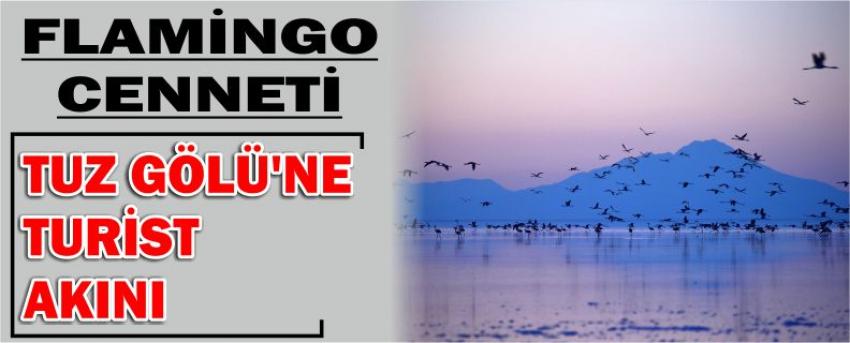 Flamingo Cenneti Tuz Gölü'ne Turist Akını