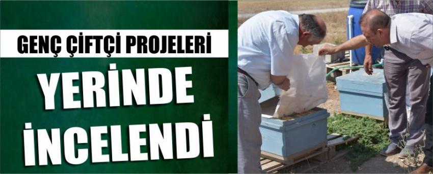 Genç Çiftçi Projeleri Yerinde İncelendi