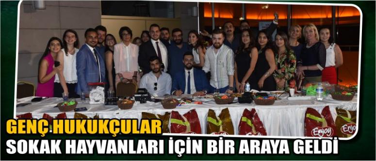 Genç Hukukçular Sokak Hayvanları İçin Bir Araya Geldi