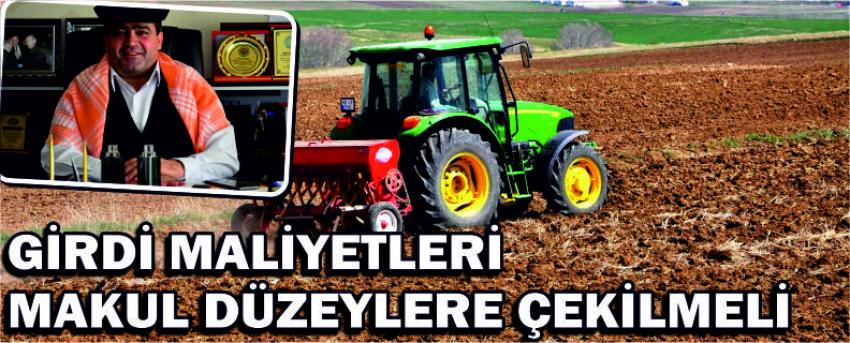 Girdi Maliyetleri Makul Düzeylere Çekilmeli