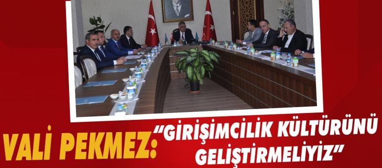 Vali pekmez: “girişimcilik kültürünü geliştirmeliyiz”