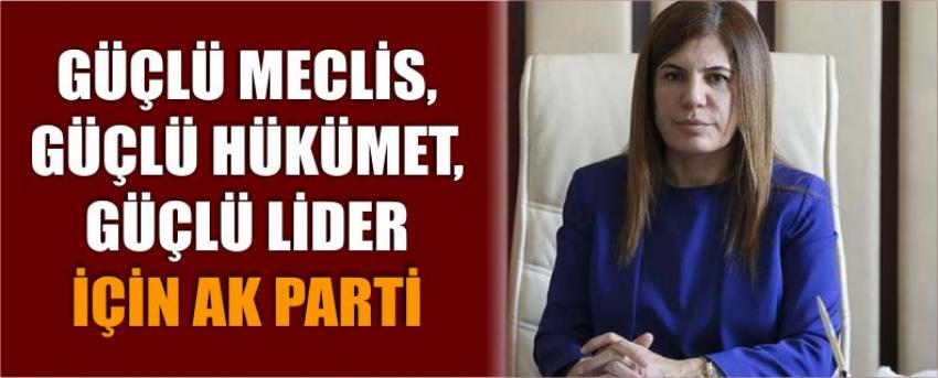 Güçlü Meclis, Güçlü Hükümet, Güçlü Lider İçin Ak Parti