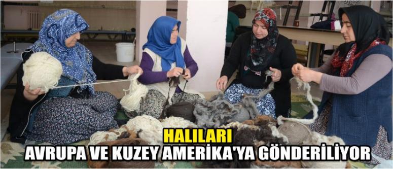 Halıları Avrupa Ve Kuzey Amerika'ya Gönderiliyor