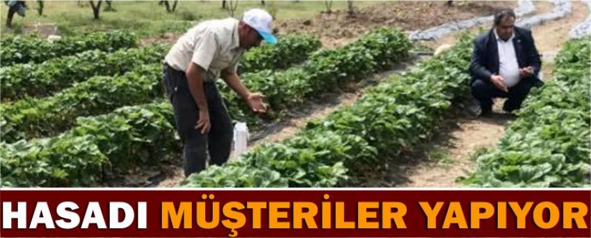 Hasadı Müşteriler Yapıyor