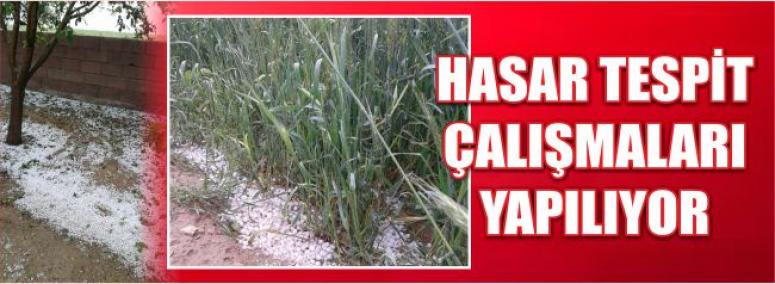 Hasar Tespit Çalışmaları Yapılıyor