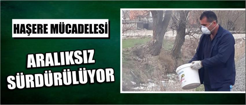  Haşere Mücadelesi Aralıksız Sürdürülüyor