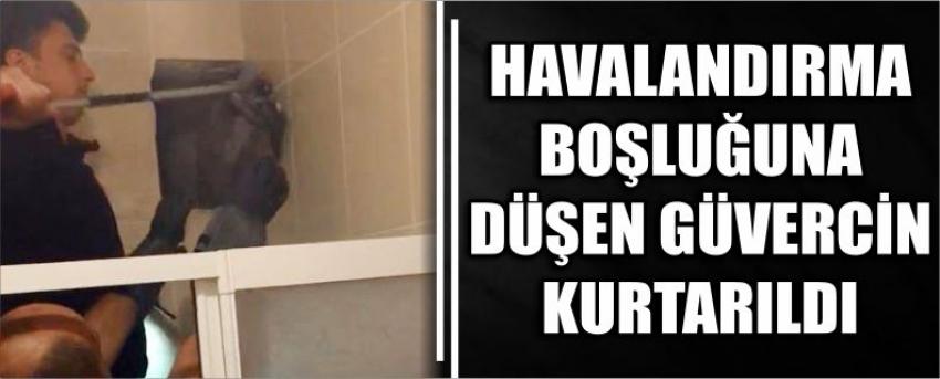 Havalandırma Boşluğuna Düşen Güvercin Kurtarıldı 