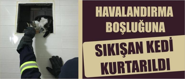 Havalandırma Boşluğuna Sıkışan Kedi Kurtarıldı