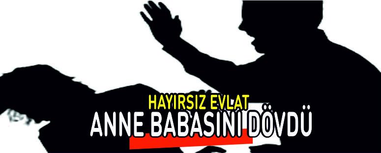 Hayırsız Evlat Anne-Babasını Dövdü
