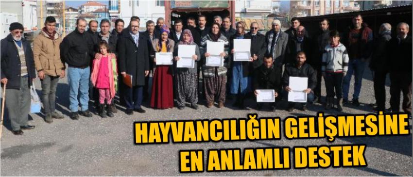 Hayvancılığın Gelişmesine En Anlamlı Destek