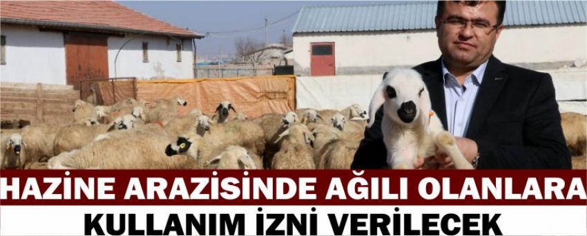 Hazine Arazisinde Ağılı Olanlara Kullanım İzni Verilecek