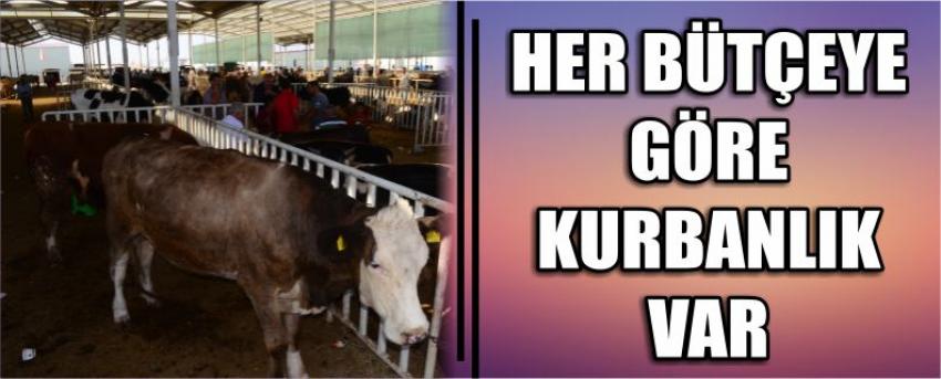 Her Bütçeye Göre Kurbanlık Var