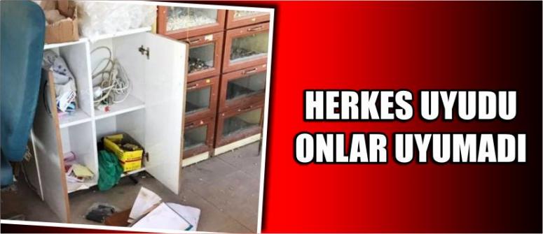 Herkes Uyudu Onlar Uyumadı
