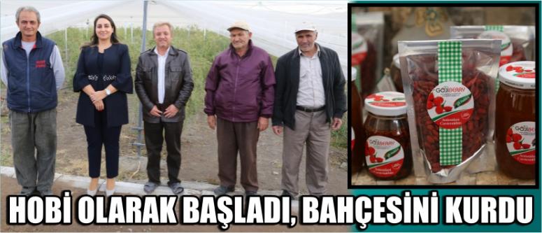 Hobi Olarak Başladı, Bahçesini Kurdu