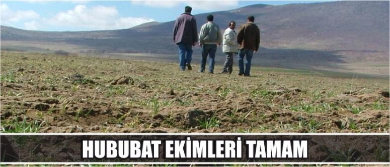 Hububat Ekimleri Tamam