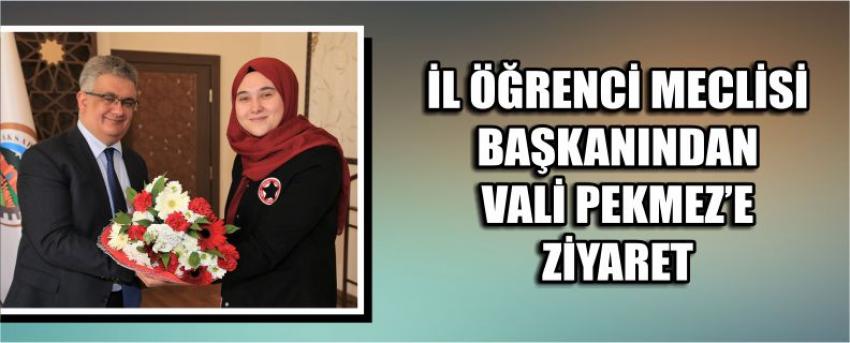 İl Öğrenci Meclisi Başkanından Vali Pekmez’e Ziyaret