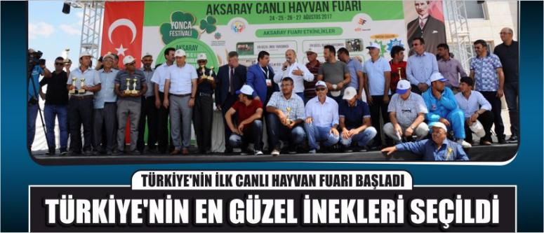 Türkiye’nin İlk Canlı Hayvan Fuarı Başladı