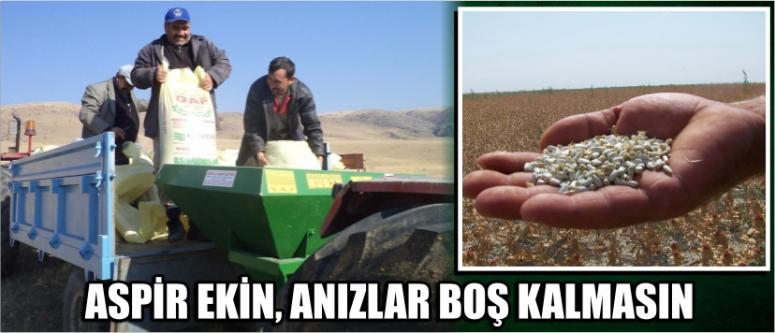 Aspir Ekin, Anızlar Boş Kalmasın