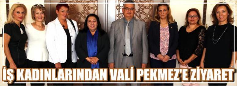 İş Kadınlarından Vali Pekmez'e Ziyaret
