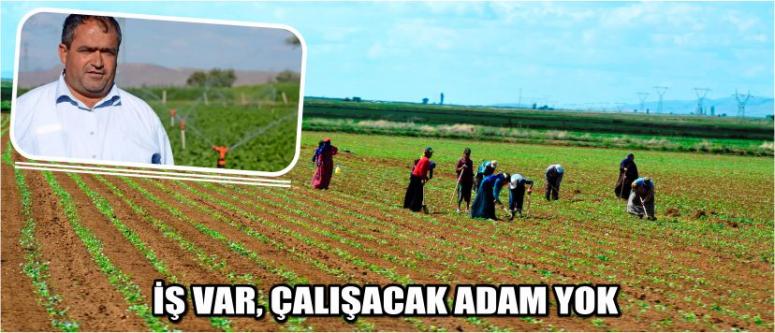 İş Var, Çalışacak Adam Yok