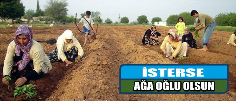Aksaray Köylüleri Artık Köye Kız Vermiyorlar!