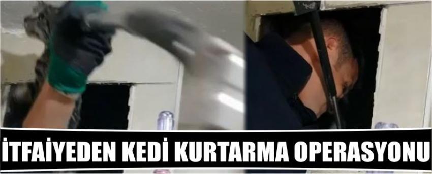 İtfaiyeden Kedi Kurtarma Operasyonu