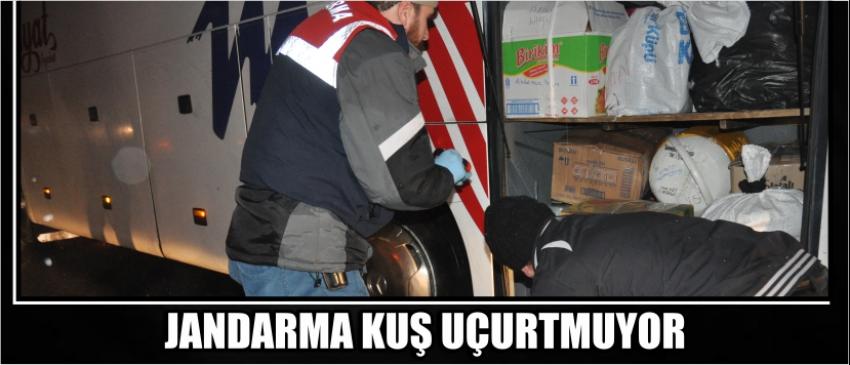 Jandarma Kuş Uçurtmuyor