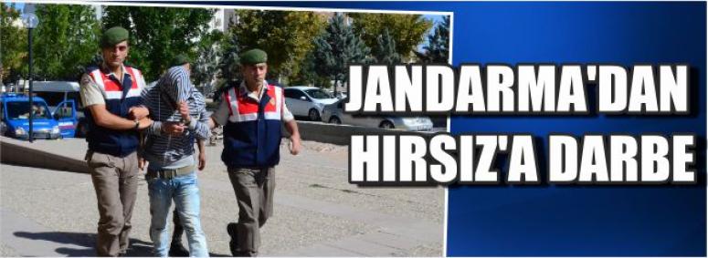 Jandarma’dan Hırsız’a Darbe
