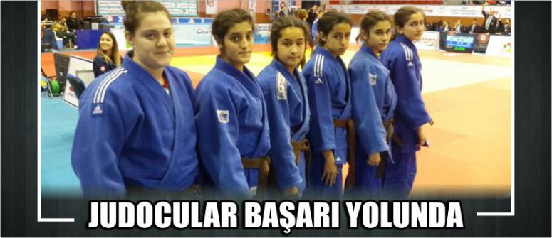 Judocular Başarı Yolunda