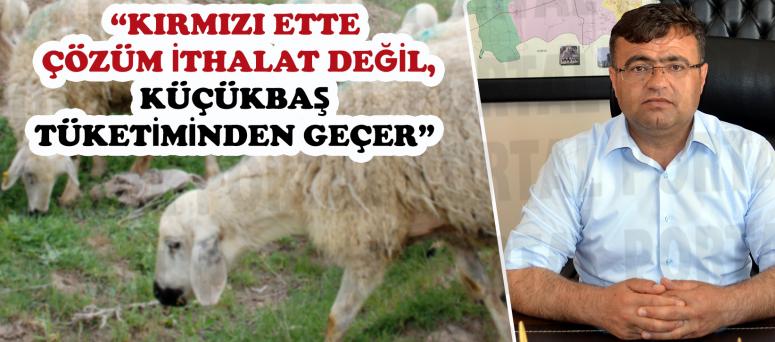 “Kırmızı ette çözüm ithalat değil, küçükbaş tüketiminden geçer”