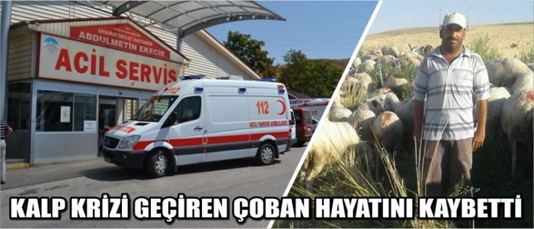 Kalp Krizi Geçiren Çoban Hayatını Kaybetti