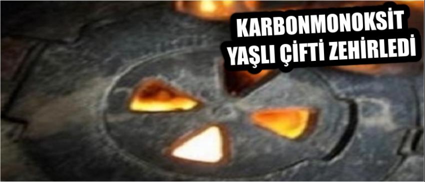 Karbonmonoksit Yaşlı Çifti Zehirlendi